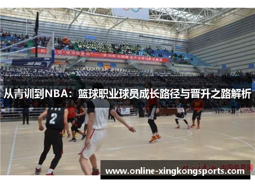从青训到NBA：篮球职业球员成长路径与晋升之路解析