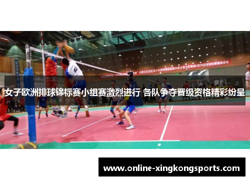 女子欧洲排球锦标赛小组赛激烈进行 各队争夺晋级资格精彩纷呈