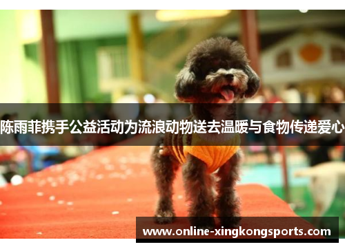 陈雨菲携手公益活动为流浪动物送去温暖与食物传递爱心