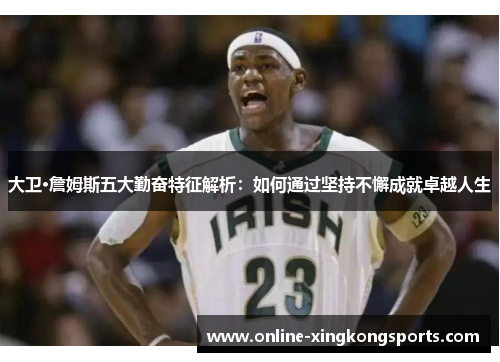 大卫·詹姆斯五大勤奋特征解析：如何通过坚持不懈成就卓越人生