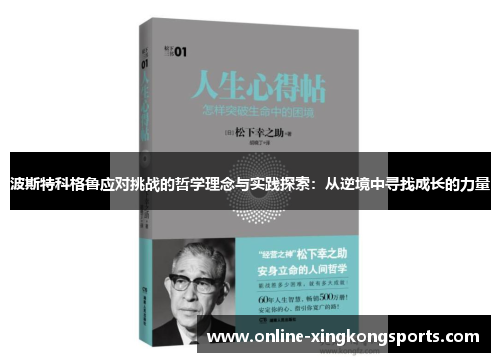 波斯特科格鲁应对挑战的哲学理念与实践探索：从逆境中寻找成长的力量