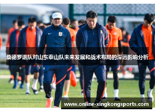 桑德罗退队对山东泰山队未来发展和战术布局的深远影响分析