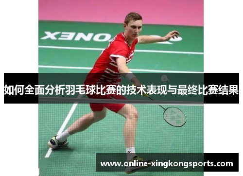 如何全面分析羽毛球比赛的技术表现与最终比赛结果