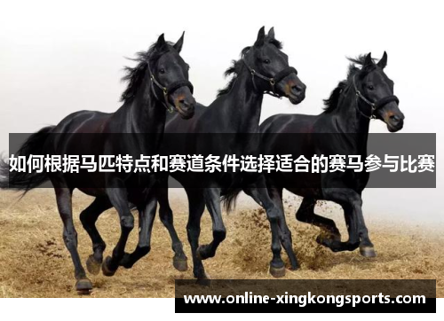 如何根据马匹特点和赛道条件选择适合的赛马参与比赛