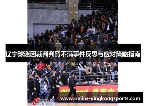 辽宁球迷因裁判判罚不满事件反思与应对策略指南