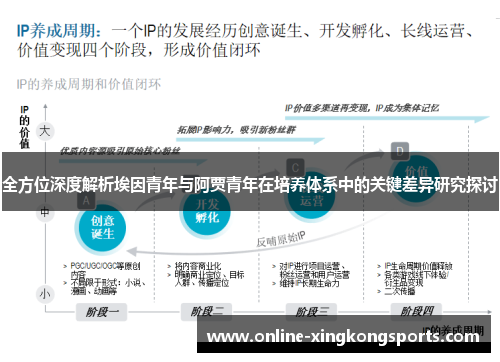 全方位深度解析埃因青年与阿贾青年在培养体系中的关键差异研究探讨