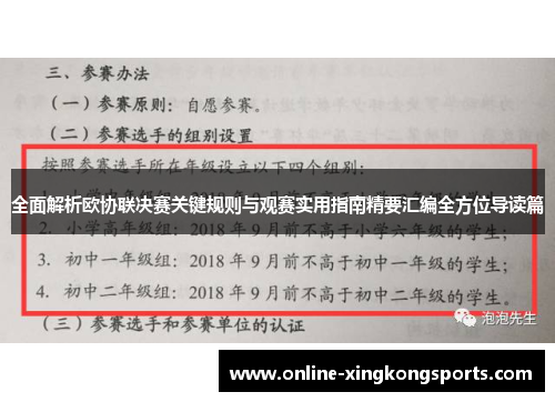 全面解析欧协联决赛关键规则与观赛实用指南精要汇编全方位导读篇