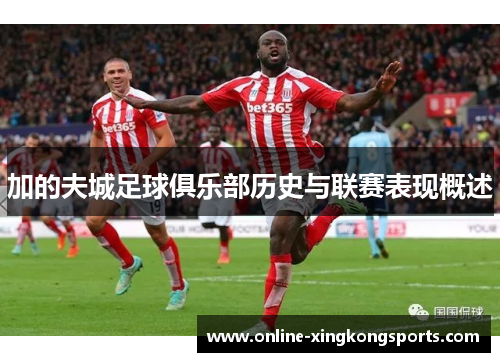 加的夫城足球俱乐部历史与联赛表现概述 加的夫城足球俱乐部历史与联赛表现概述