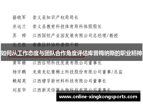 如何从工作态度与团队合作角度评估库普梅纳斯的职业精神