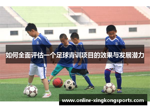 如何全面评估一个足球青训项目的效果与发展潜力 如何全面评估一个足球青训项目的效果与发展潜力
