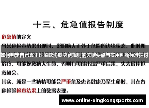 如何判定自己真正理解欧协联决赛规则的关键要点与实用判断标准探讨