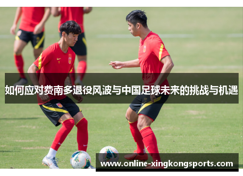 如何应对费南多退役风波与中国足球未来的挑战与机遇