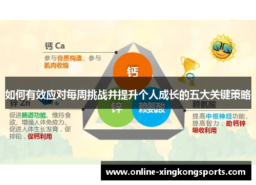 如何有效应对每周挑战并提升个人成长的五大关键策略